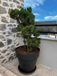 La maison des papés