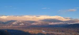 Shonikebi Guest House