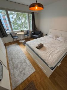 Cozy studio in the heart of Helsinki