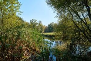 LEnvol - Oasis Ressource