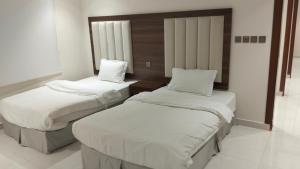 رير بلو دايموند 2 للشقق المخدومة