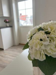 Harmony Apartments - By Honivi Gruppen