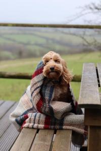 Mulino Pods Exclusive Hire