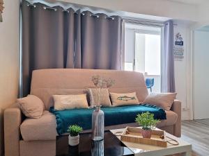 Les Petits Becs , joli T2 Vue mer, Wifi, Parking