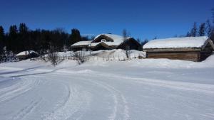 Nydelig hyttetun på Torpoåsen