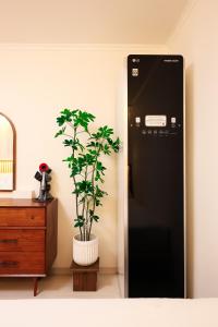 청담동, 명품거리, 청담역, 압구정로데오, 성형 병원, 한강공원, 강남도심, 발마사지기, 에어드레서, 무료주차