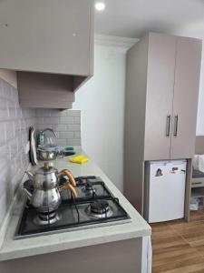 KÖPRÜBAŞI AİLE APART