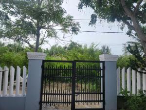 Làng làm chiếu ở Hội An