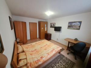 Timisoara - 3hvězdičkové hotely ve městě Temešvár