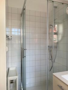 "Pas draugą" Greenhill