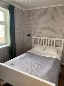 "Pas draugą" Greenhill