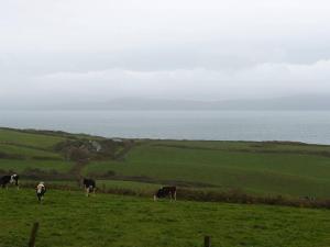 1 Bed in Kilcrohane oc-ii14517