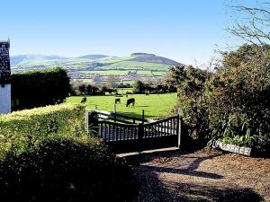 1 Bed in Woodenbridge oc-i010