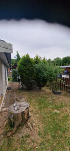 Tiny house op een volkstuinverenging