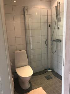 20 min to Umeå 6-7 guests, sea, lake, forest and golf