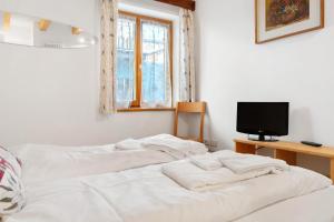 Apartment Goldener Schnee Tesero