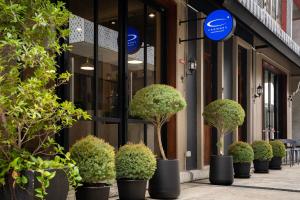 Crownex Studio Deluxe