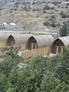 ماكامايا Makamaya