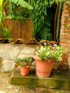 Boutique Hotel Talaveri In Telavi