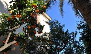 Double Room room in Hotel Lodi