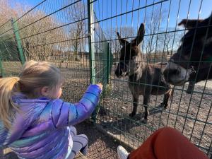 Zuhause am See - Eleganz im Altbau