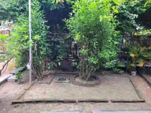 Panchobon Art Resort