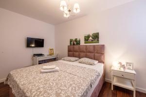 Dalmatian 230m2 with pool and garden near the old town for families