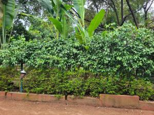 Panchobon Art Resort