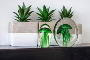 Clifton YOLO Spaces - Beachfront Duo Apartment