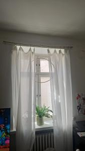 private apartment in the heart of Kallio