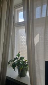 private apartment in the heart of Kallio