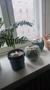 private apartment in the heart of Kallio