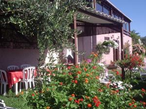 chez Ange et Maryse à Olmeta di tuda