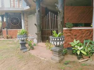 Nugasewana Guest house