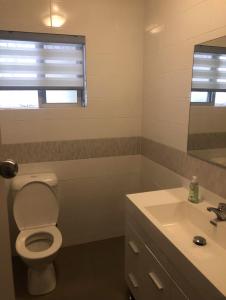 Airport Reading Room Rest