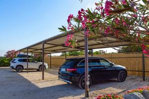 Villa Relais ALGHERO img78