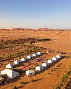The White Camp Merzouga - Official Luxury Desert Camp & Camel Tours