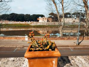 MARZIAS TERRACE - historic river apartment