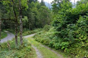 Almhütte Groß Frondell