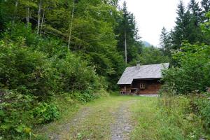 Almhütte Groß Frondell