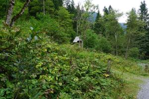 Almhütte Groß Frondell