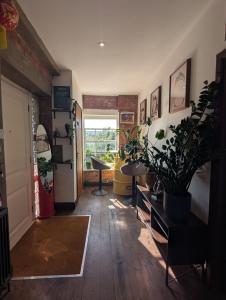 Creative Warehouse Conversion & Plant Haven