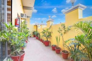 Hotel O Glory green farms and guest house