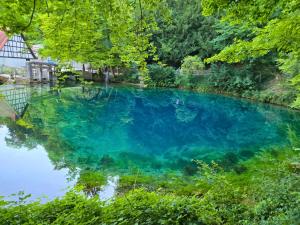 Holiday&Stay, Blautopf Apartments