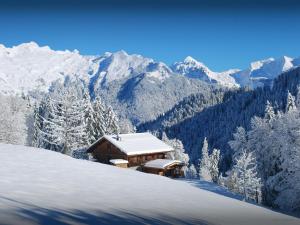 Chalet Les Pellys - OVO Network