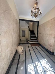 NUEVO!! Apartamentos San Antonio - al lado de la CATEDRAL