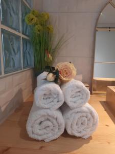 Pentes de la Croix-Rousse Le Lyon dor