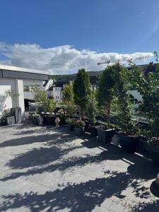 Ahrterrassen Penthouse