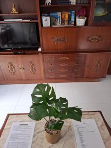 Alojamiento AJO con piscina y tenis - Ajo Palace