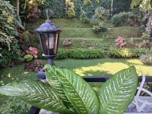 Studio La Mancha your home away from home